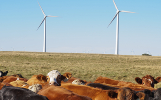 Rural Minnesotans will be talking about local climate change solutions this week. (iStockphoto)