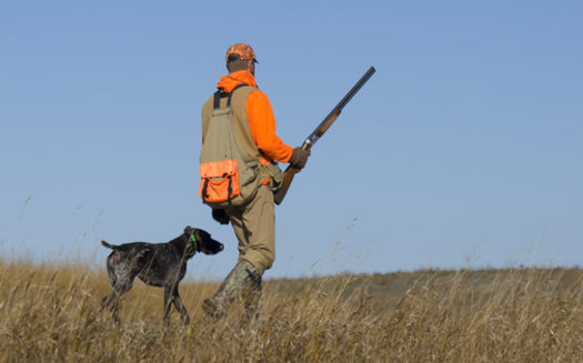 A South Dakota wildlife official is urging state lawmakers to shoot down a bill to allow bird hunting with a shotgun pistol. (iStockphoto)