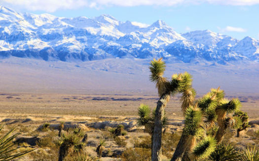 Nevada's leadership in Washington, D.C., gets mixed reviews on an annual Environmental Scorecard from the League of Conservation Voters. (Alan O'Neill)