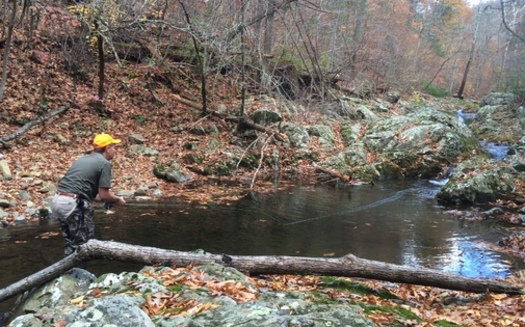 Conservationists want national monument status for the Birthplace of Rivers wilderness in eastern West Virginia. (Trout Unlimited) 