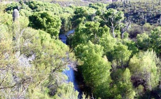 A group of environmental organizations is planning to sue the U.S. Corps of Engineers over a permit for a major development near the San Pedro River watershed in southeastern Arizona. (Charlie Schultz/Sierra Club)