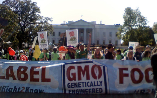 An estimated 90 percent of Americans want labeling of GMO foods. (Alexis Baden-Mayer/flickr.com)