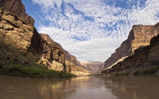 Conservationists are concerned upper-basin state efforts to divert water could hurt ecosystems dependent on the Colorado River. (Pixabay)