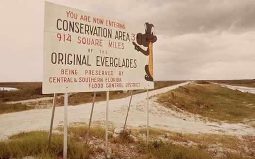 Dedicated funding for Everglades restoration projects has been 16 years in the making. (Fred Ward/Wikimedia Commons)