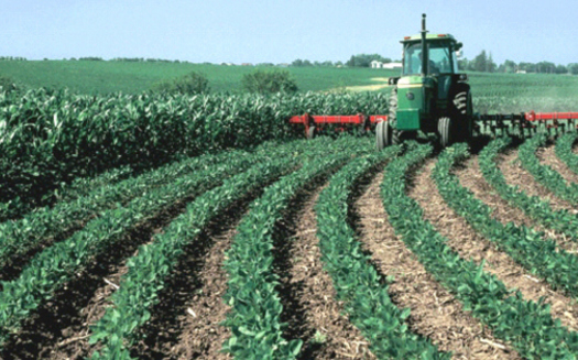 Large and small farms in Arkansas could be targeted by cyber thieves.(USDA)