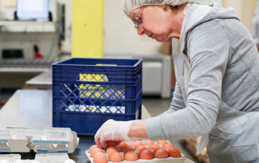 Since 2001, Fresh Alliance has redirected 80 million pounds of food from being wasted in Oregon. (Oregon Food Bank)