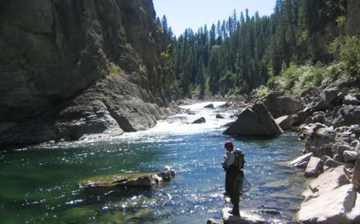 Hunting and fishing groups are cheering the defeat in the U.S. Senate of an amendment that would have lifted certain EPA protections from smaller streams. (Montana Wildlife Federation)