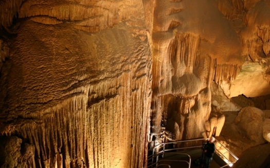 All national parks, including Mammoth Cave, are free this weekend for Earth Day and National Park Week. The U.S interior secretary is calling for increased funds to maintain the parks. (NPS)