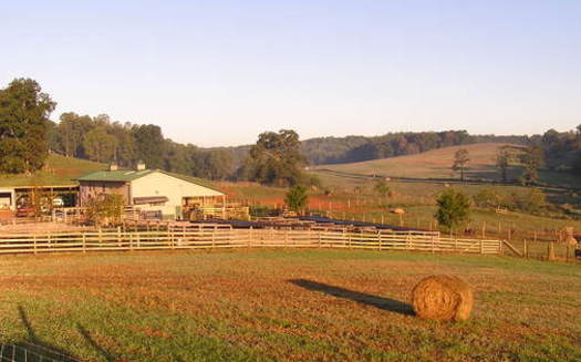 Ridgefield Farm in Clay County, home of Brasstown Beef, is under an agricultural easement with the Mainspring Conservation Trust. (Mainspring)
