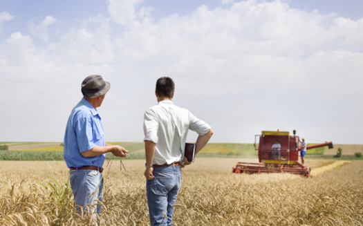 As North Dakota voters prepare to weigh in on the state's corporate-farming law, family-farm advocates hold public discussions in four towns this week. (iStockphoto)