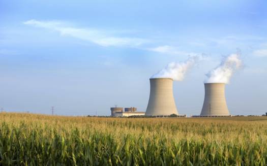 Exelon, which runs this power plant in Byron, Ill., says it needs help to keep several plants from closing, while senior and consumer advocates argue the company is essentially asking for a taxpayer bailout. (iStockphoto)