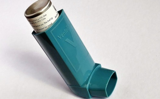 Casi 26 millones de personas en los Estados Unidos sufren de asma, y ms de siete millones son nias y nios. (InspiredImages/Pixabay)