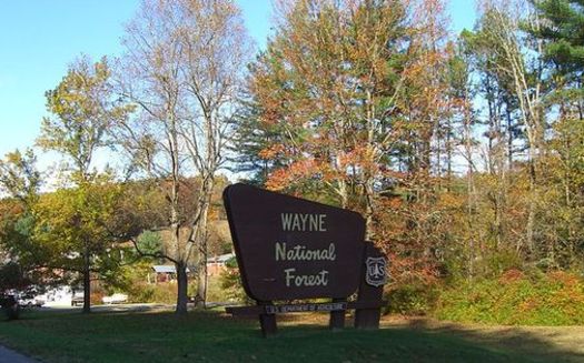 Wayne National Forest is among the nearly 6 million acres of national public lands in Ohio. (Nick Juhasz/Wikipedia)