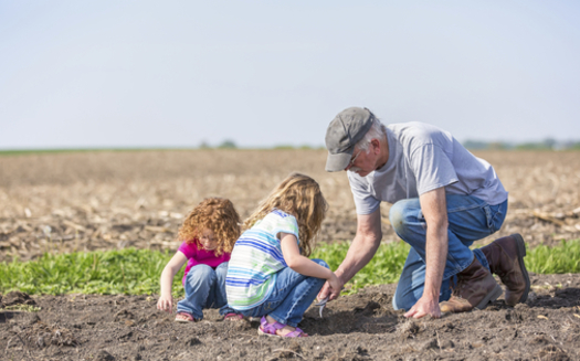 Family-farm advocates say a new lawsuit challenging North Dakota's decades-old corporate-farming ban is a last-ditch effort allow non-family corporations to operate in the state. (iStockphoto)