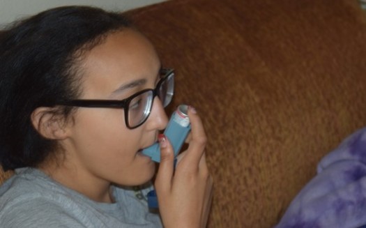 Mobile apps for people with asthma are especially helpful for kids and parents, but doctors say they aren't all as accurate as they could be. (Virginia Carter)