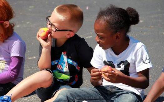 New numbers show Illinois lags behind most of the country in providing free or reduced cost summer meals for children from lower-income families. (Illinois State Board of Education)