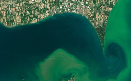 Harmful blue-green algae is increasing in bodies of water. In Massachusetts, it has affected this year's shellfish harvest. (NASA)