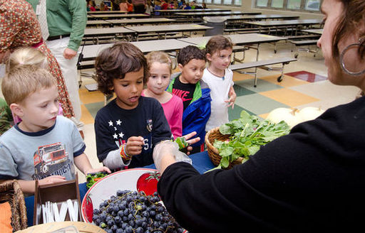 Legislation currently under debate in Congress could force schools to reapply in order to participate in free meal programs. (USDA)