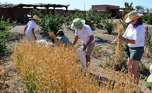 As part of Latino Conservation Week, community members are encouraged to join a hike, kayak a river or visit archaeology centers such as the Mission Garden in Tucson. (Arizona Archaeological and Historical Society)