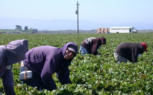 In Oregon, an estimated 40 percent of agricultural workers are immigrants. (pixabay)
