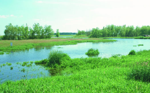 Newly approved clean water rules might actually increase pollution in Iowa waterways, says the Iowa Environmental Council. (USDA.org)