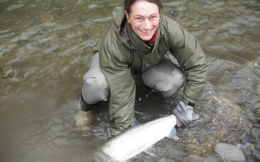 Factors such as low runoff from snowmelt could be contributing to low steelhead numbers this summer. (Joseph/flickr)