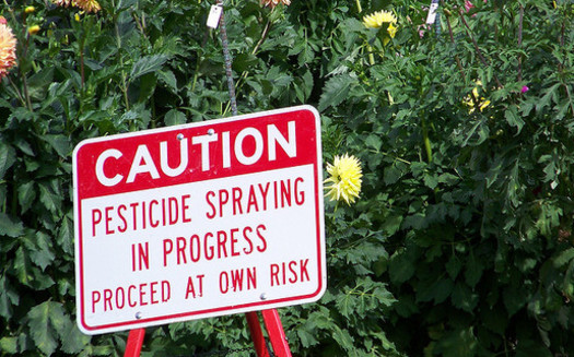 Farmworkers are calling for suspension of the use of a toxic pesticide called chlorpyrifos. (jetsandzeppelins/flickr)