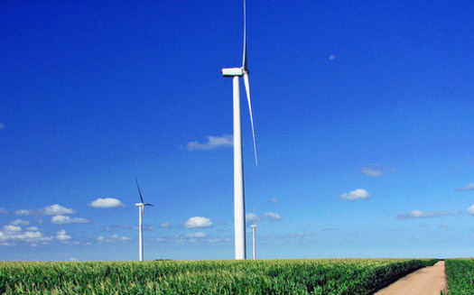 A new survey shows young Republican voters are in favor of renewable energy. (Don Graham/Flickr)