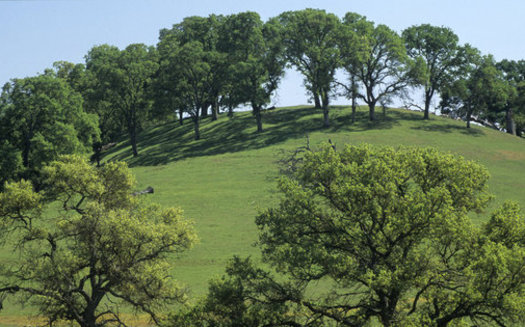 A new California law makes it state policy to promote greenhouse gas reduction in open space and agricultural lands. (Harold E. Malde/The Nature Conservancy)