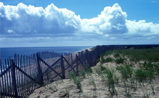 The Cape Cod National Seashore is among the 60,000-plus acres of federally-managed public land in Massachusetts. (U.S. Fish and Wildlife Service)