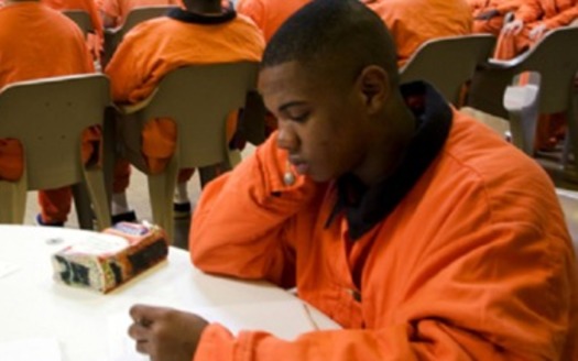 Work continues in Illinois to keep young offenders out of adult court. (peoriacountyjic.org)