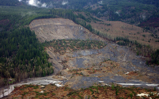 The Oso landslide in 2014 killed 43 people in northwest Washington. (Jonathan Godt/USGS)