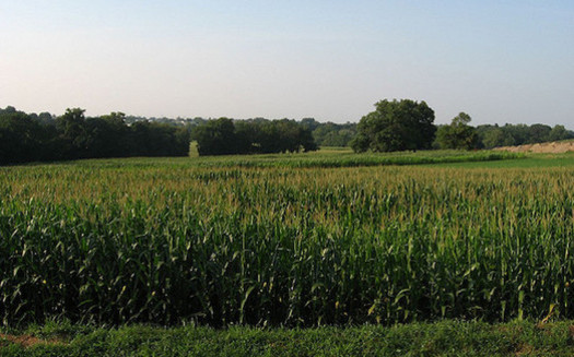 Between 2008 and 2012, 162,000 acres in New York were converted to agricultural production. (Ken Lund/Flickr)