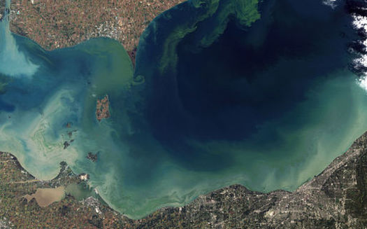 A report links toxic algae in Lake Erie to increased crop production spurred by the nation's Renewable Fuel Mandate. (NASA Earth Observatory/Wikipedia)