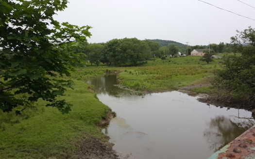 Conversion of stream buffers to crop production has increased agricultural runoff, creating problems for wildlife and water quality. (JackTheVicar/Wikipedia)