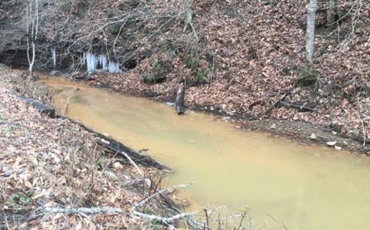 Conservationists are fighting back against attempts to gut new regulations that attempt to stop future pollution of streams such as this one that spills into the Kentucky River. (Tarence Ray)