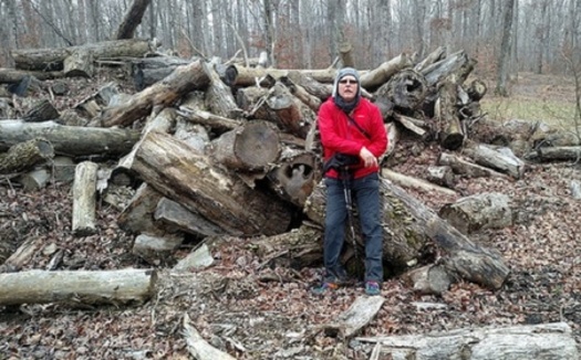 Hikers along the Knobstone Trail and others are finding areas that have been logged and clear cut. (Indiana Forest Alliance)