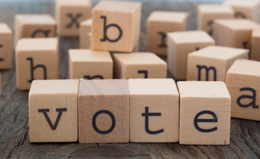 Tuesday's primary election in Wisconsin is likely to draw very sparse turnout, with only one statewide race on the ballot. (vesmil/iStockphoto)