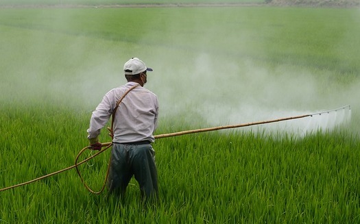 Three proposed mega-mergers would create companies that would control nearly 70 percent of the world's pesticide market, which has food and farm groups voicing concern. (Pixabay)
