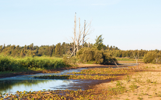 High-capacity wells are causing lakes and streams in Wisconsin to dry up. (TT/iStockPhoto.com)