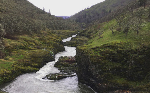The Nature Conservancy has identified an area near the Klickitat River as having the natural ability to sustain itself as the effects of climate change worsen. (Ferrous Bller/Flickr)