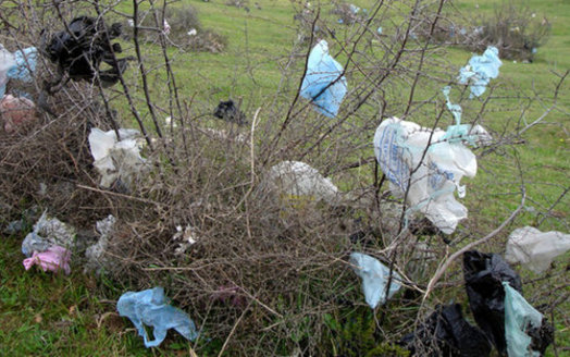Litter is only one reason some communities ban retailers' use of plastic bags. They can also damage equipment at recycling facilities. (Metro Waste Authority)