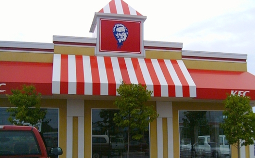 Fast food giant KFC is phasing out the use of antibiotics in raising chickens. (Gracey/morguefile) 