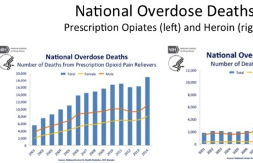 With overdose deaths rising in West Virginia and around the country, scientists are arguing for treating drug addiction as a health issue rather than a crime. (NIH)