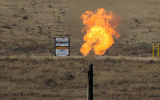 Gas flares are a result of leaking natural gas as companies mine for fossil fuels. (WildEarth Guardians)