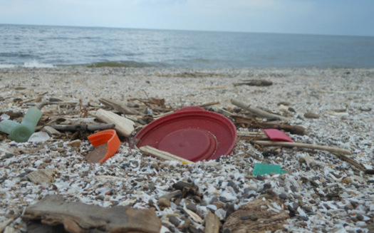 Most of the trash along the Great Lakes is the result of human activity, and the job is often left to volunteers to pick it up. (NOAA)