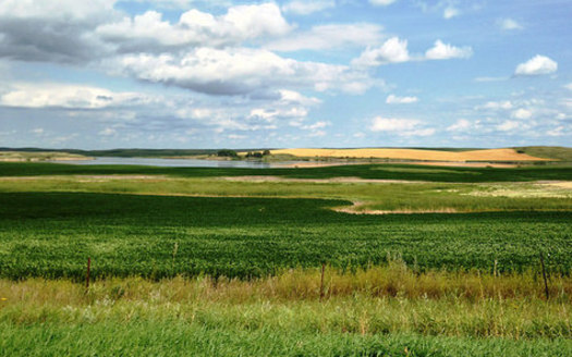 North Dakota is the largest producer of barley and many other cereal grains in the United States. (Krista Lundgren/USFWS)
