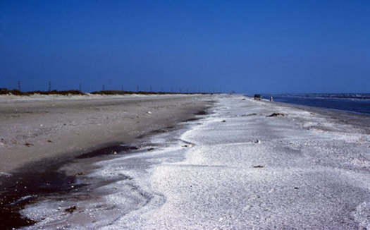 A spill in the Atlantic could coat beaches from Savannah to Boston with oil. (USGS)