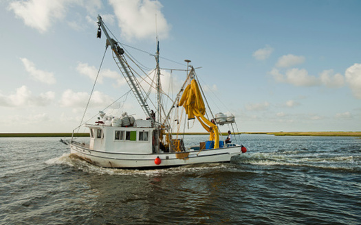 Gulf Coast fishermen are benefiting from conservation practices used by Wisconsin farmers. (Ken Cedeno/Getty Images)