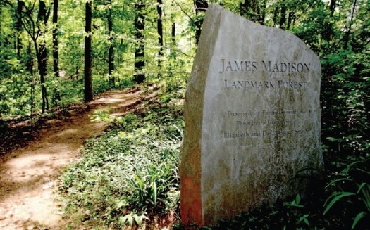 The James Madison Landmark Forest is only about 200 acres in size, and contains some trees that are more than 200 years old. (American Forest Foundation)